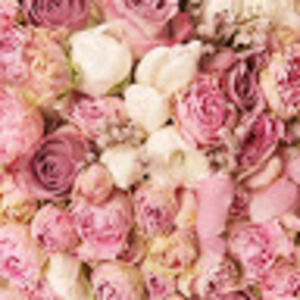 Meet your Posher, Fabiola